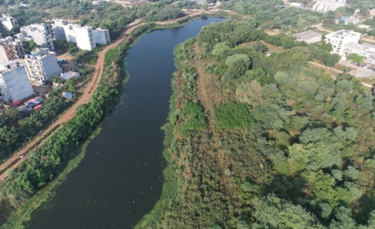 SEEDS Champions Nature-Based Solutions to Revive Water Bodies Across India